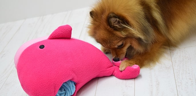 犬用おもちゃ ノーズワークマット