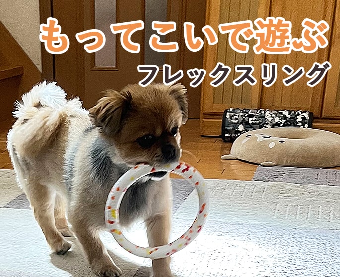 おもちゃ　犬用 犬用おもちゃ フレックスボール 犬のおもちゃ帝塚山ハウンドカム