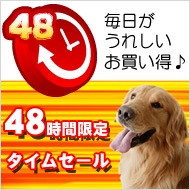��������48���� �����ॻ����