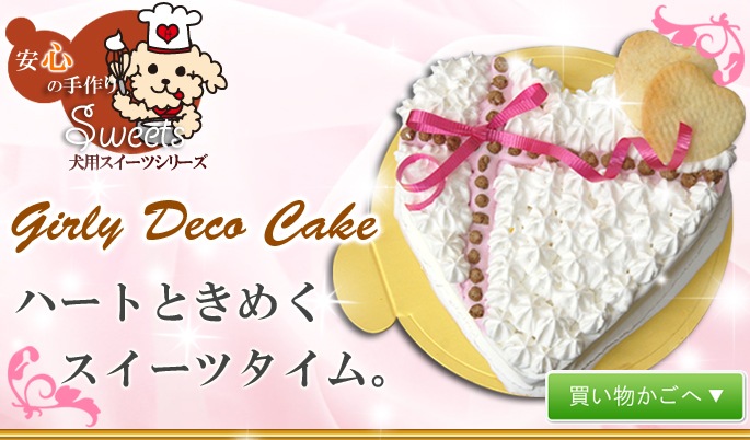 ϡȤȤ᤯ĥࡡGarly Deco Cake