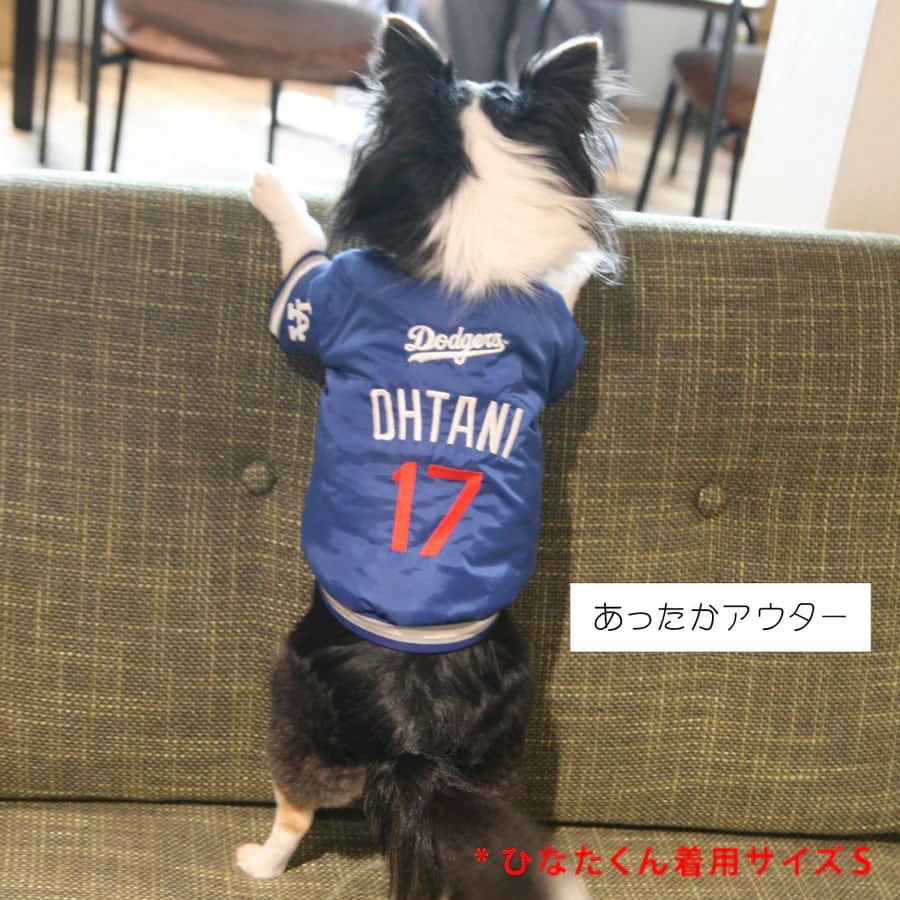 新品未使用！MLB 公認OHTANI 犬服ダグアウトジャケット 青 犬用ジャケット MLB公式 ロサンゼルス ドジャース 大谷翔平選手モデル