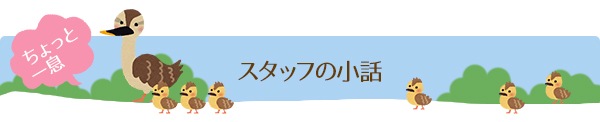 ちょっと一言。スタッフの小話