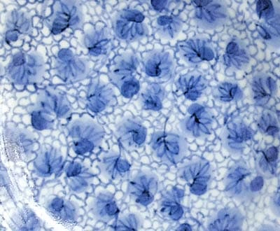 ������ ������