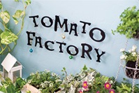 tomato factory