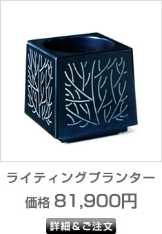 �ԥ饤�ƥ��󥰥ץ�󥿡�