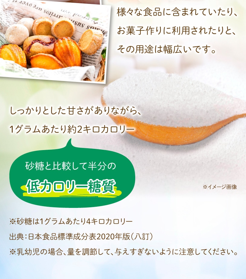 フラクトオリゴ糖 天然チコリ由来の販売【NICHIGAインターネットショップ】