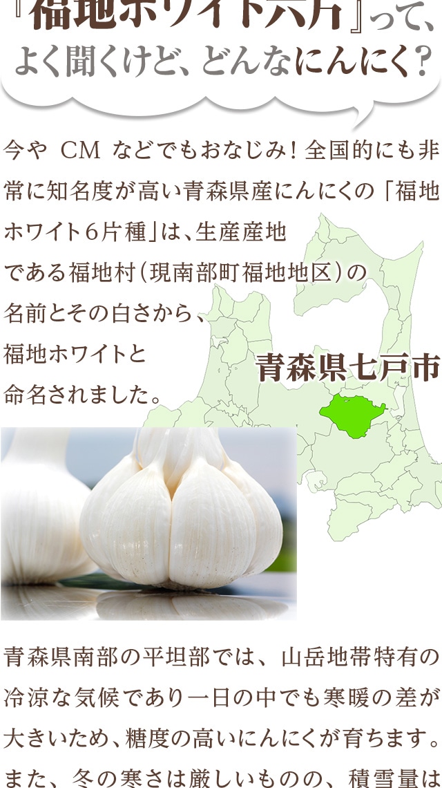 発酵黒にんにく粒 の販売 | 【NICHIGA（ニチガ）】 ☆エコ系洗剤