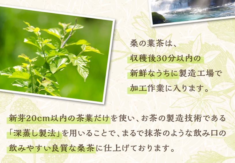 国産桑の葉茶 無添加・無農薬・化学肥料不使用の販売【NICHIGAインターネットショップ】