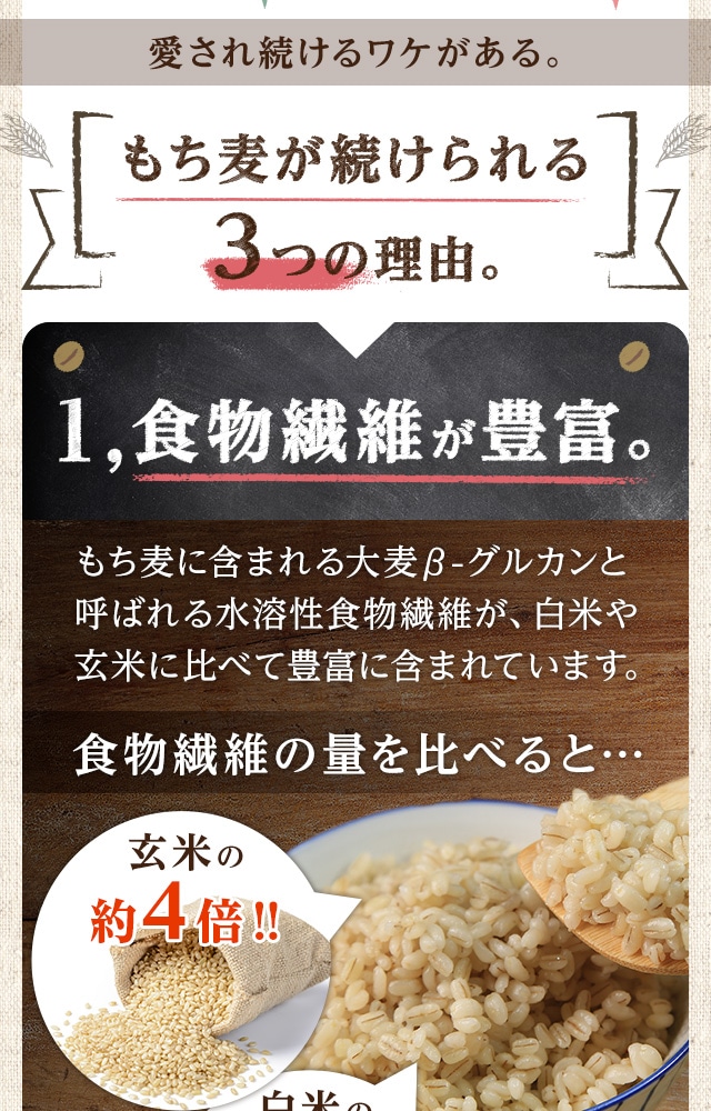 もち麦 の販売 | 【NICHIGA（ニチガ）】 ☆エコ系洗剤、サプリメント