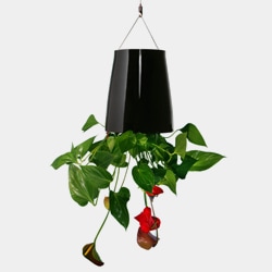 無題ドキュメント