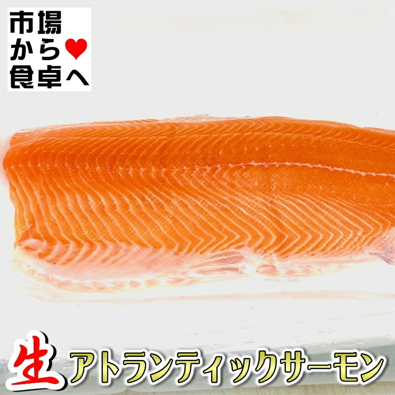 サーモンページ① 生食用サーモンブロック 250g | 宮崎県門川町 | ふるさと納税サイト