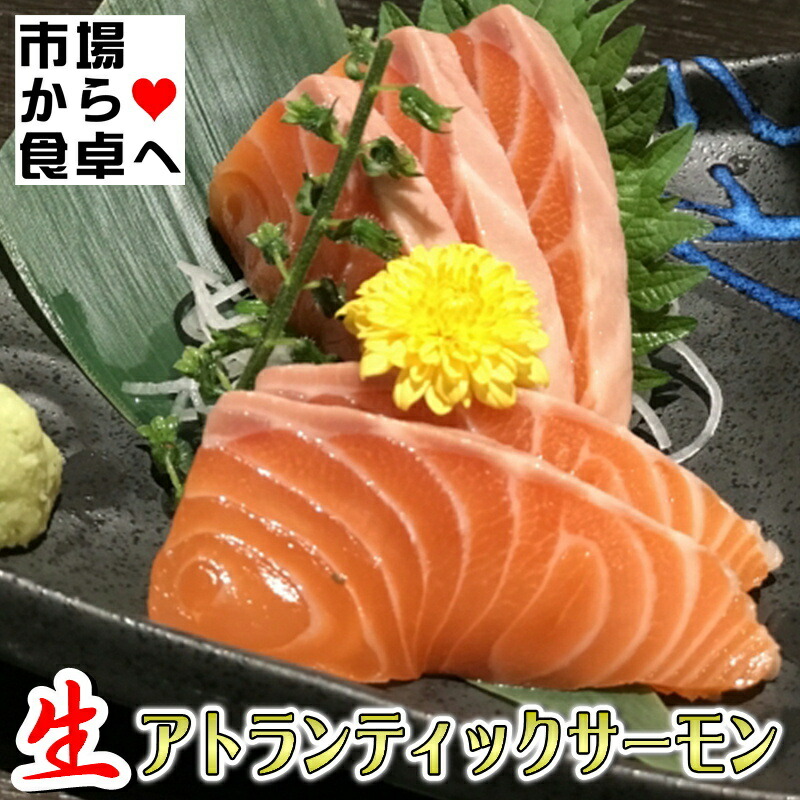 生 アトランティックサーモン 半身2枚 (半身約1.5kg)【業務用・脂