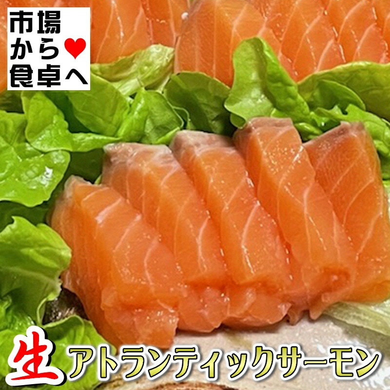 生 アトランティックサーモン 半身2枚 (半身約1.5kg)【業務用・脂