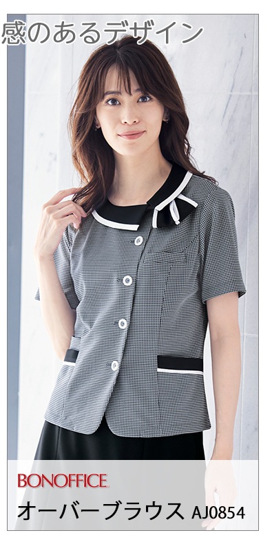 Ⱦµ�����С��֥饦��AJ0854