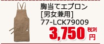 ƥץ [˽] 77-LCK79009