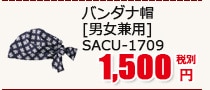 Х˹ [˽] SACU-1709