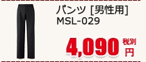 ѥ [] MSL-029