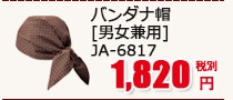 Х˹ [˽] JA-6817