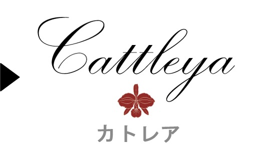  Cattleya Υ磻