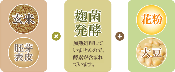 ハイ・ゲンキ ピーポーレン(花粉)顆粒分包｜玄米酵素ハイゲンキ正規 ...