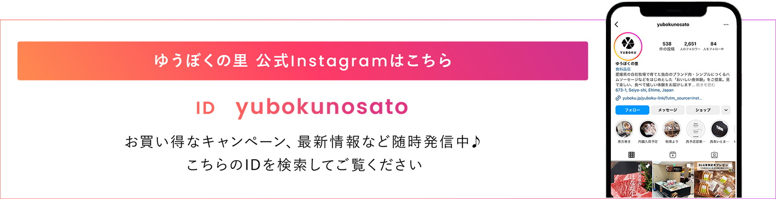 インスタグラム