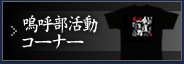 �˸�����ư �����ʡ�