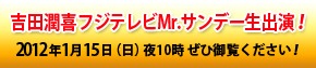 ���Ľ�Mr����ǡ����б顪2012ǯ1��15����������10��