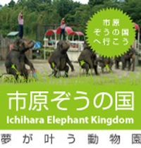 �Ը������ι񥪥ե�����륵����