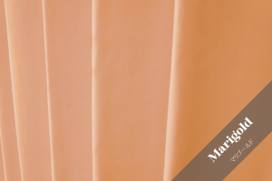 マリーゴールド