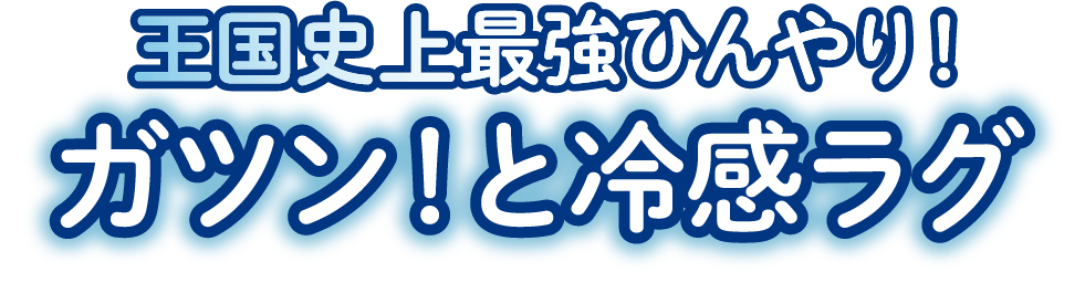 ガツン！と冷感ラグ