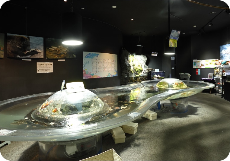 ⼈�����ꥢ�֥��å��ס����