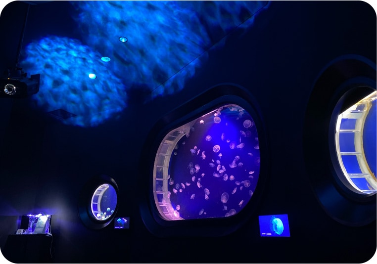 �ߥ����饲��Ϥ���Ȥ���3����Υ��饲