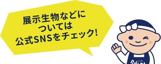 Ÿ����ʪ�ʤɤˤĤ��Ƥϸ���SNS������å�