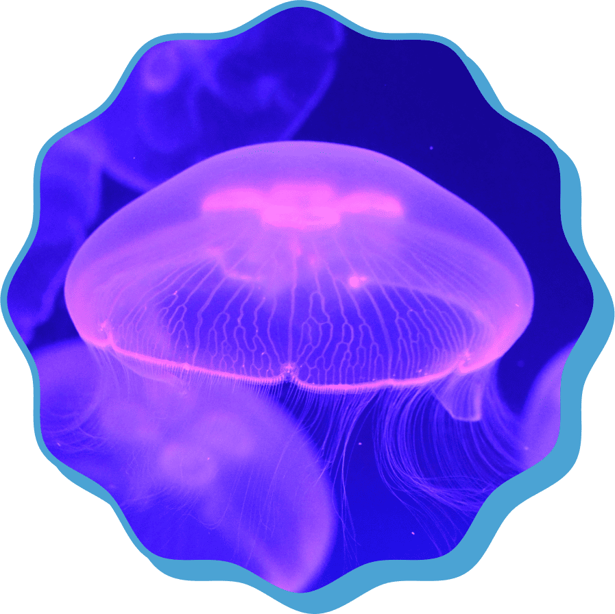 �ߥ����饲