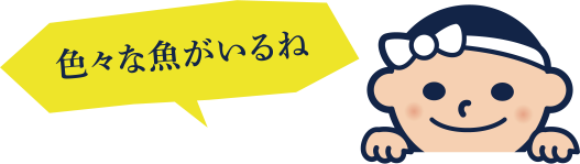 �����ʵ��������