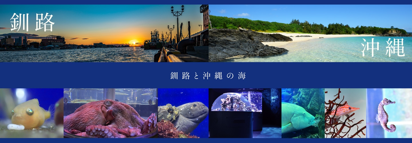 ��ϩ��²�ۤפ��פ�