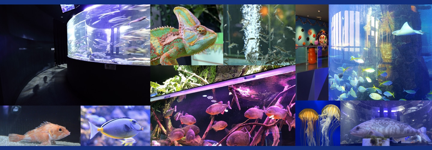 ��ϩ��²�ۤפ��פ�