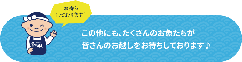 ����¾�ˤ⡢��������Τ���������������Τ��ۤ����Ԥ����Ƥ���ޤ���