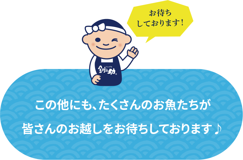 ����¾�ˤ⡢��������Τ���������������Τ��ۤ����Ԥ����Ƥ���ޤ���