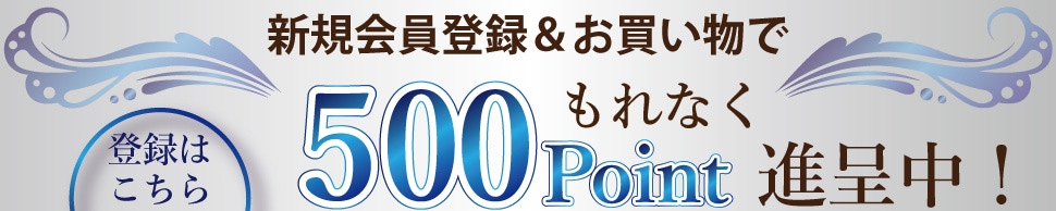 新規ご登録で500ポイントプレゼント