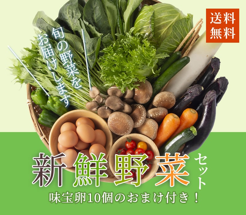 新鮮野菜セット - 送料無料・厳選した旬の野菜を市場で仕入れたその日に発送／卵10個のおまけ付き！