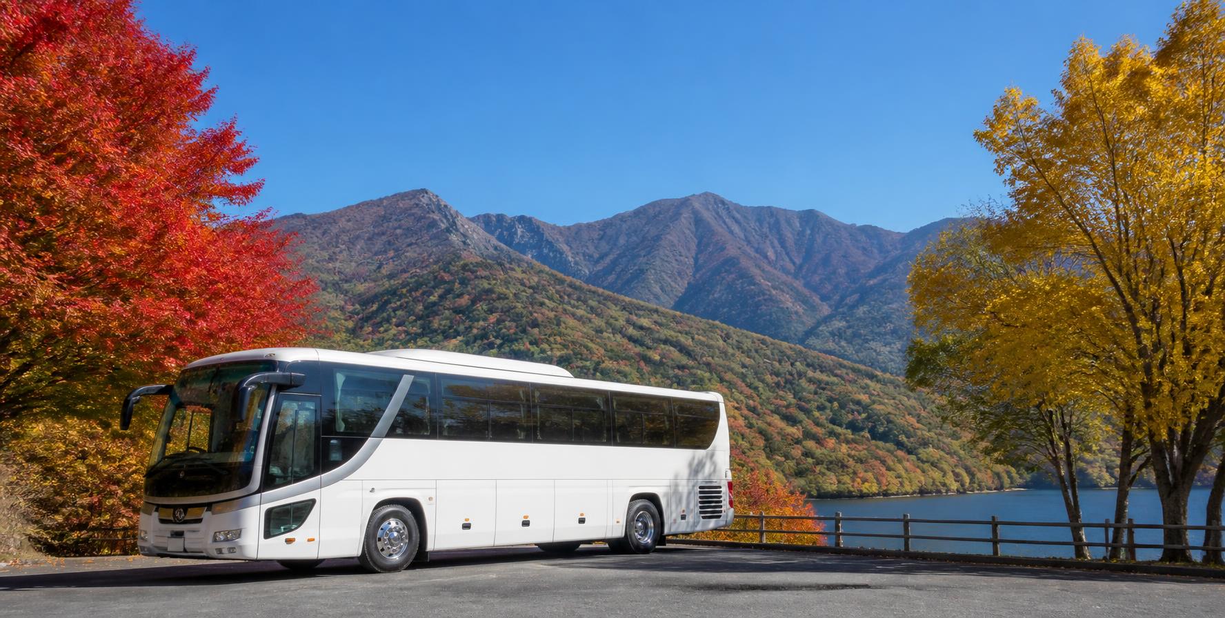 紅葉の中の日帰りバス観光のイメージ