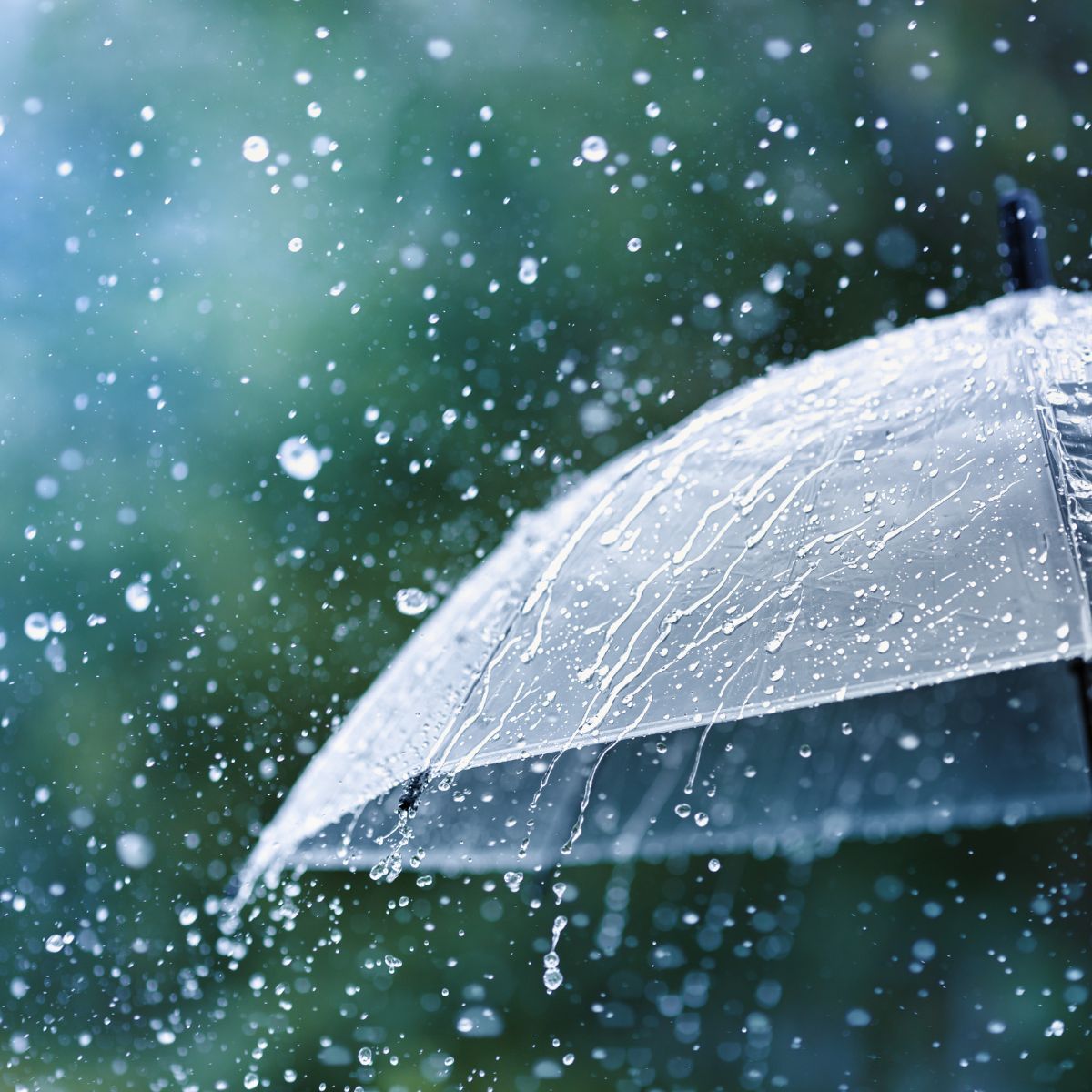 雨の日にヤマト屋のバッグを持って歩く様子