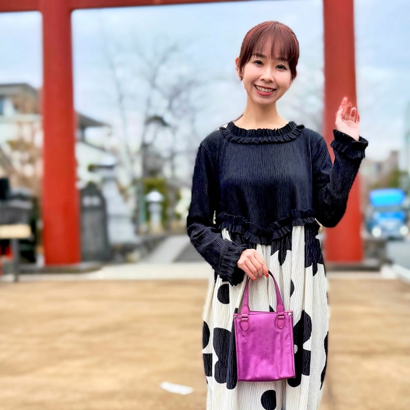 NV151 ミニマルミニ（YAM-T ）｜ヤマト屋 公式通販サイト｜軽いバッグ