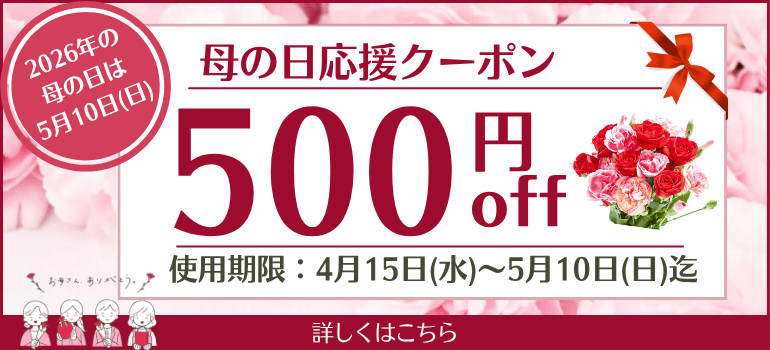 ����������ڡ����500�ߥ����ݥ�