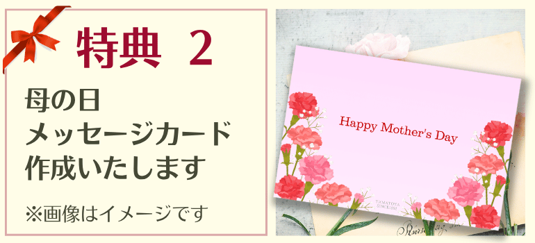 ����������ڡ������ŵ2