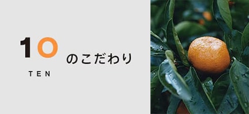 愛媛みかんジュース専門店 TENのこだわり