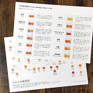 愛媛みかんパンフレット・みかんの家系図