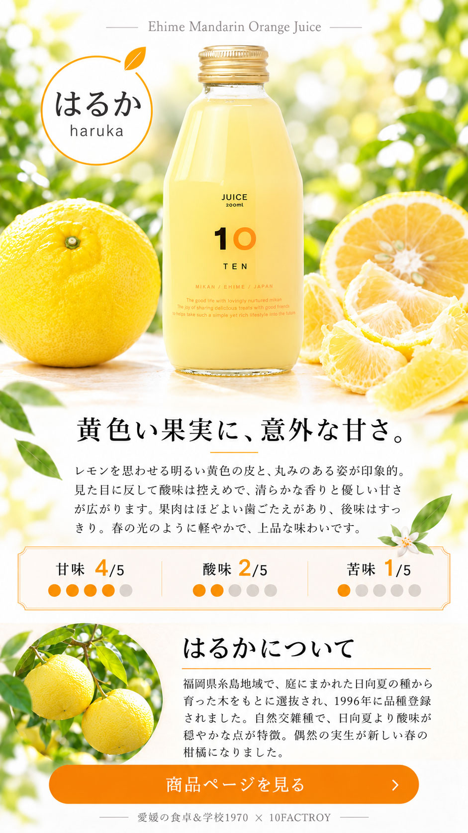 10FACTORY Online Shop | 愛媛の食卓＆学校1970｜みかん蛇口で出会った