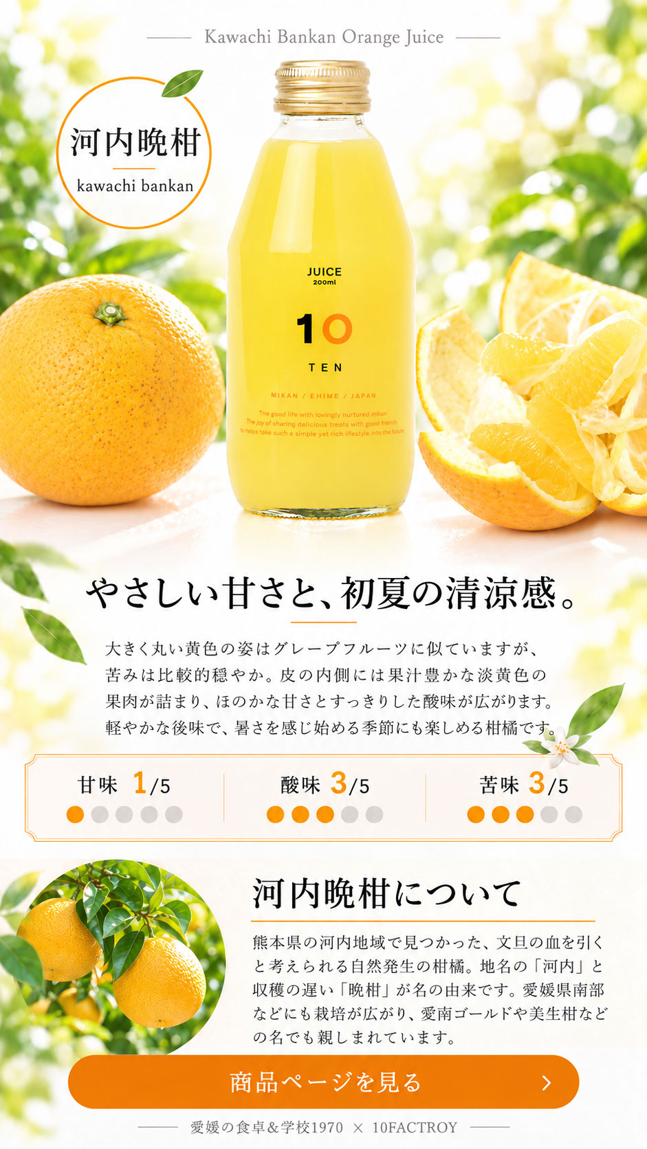 【暑い夏に】伊予柑ジュースと河内晩柑ジュース 各6本計12本セット 愛媛産 10FACTORY Online Shop | 愛媛の食卓＆学校1970｜みかん蛇口で出会った